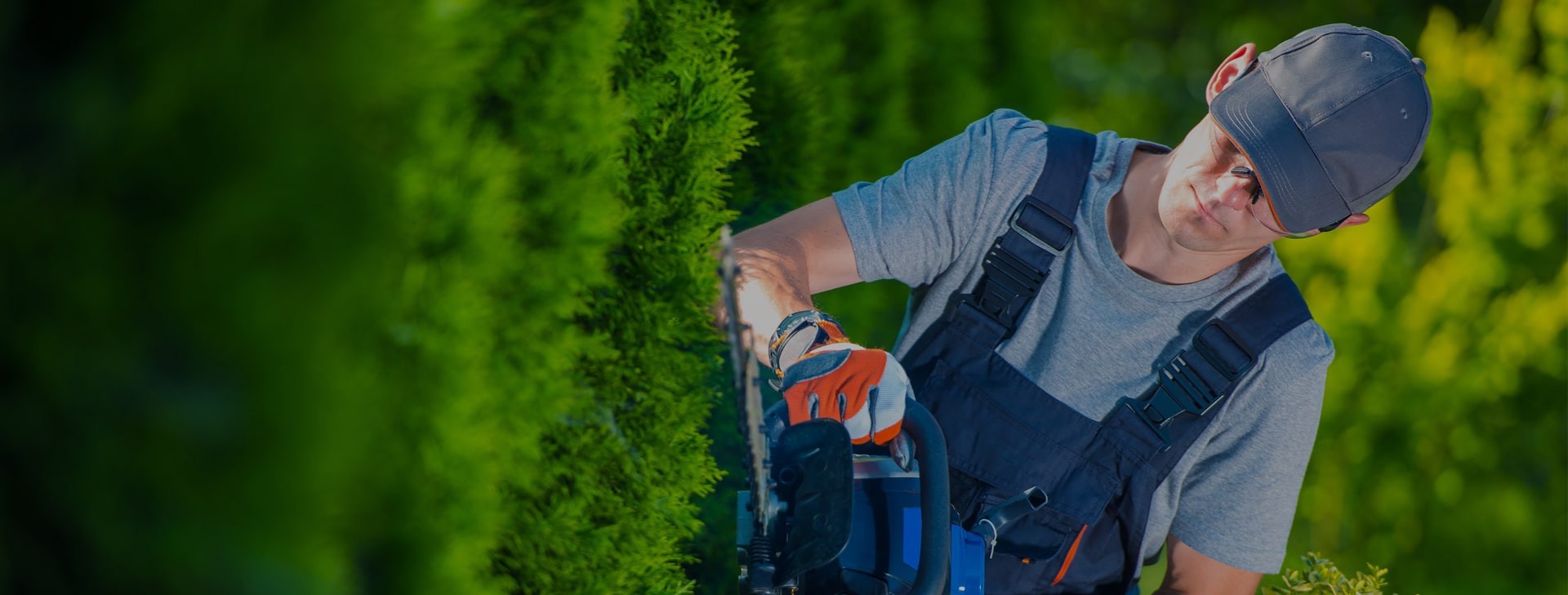 Het onderhoud van uw tuin en gazon is onze passie