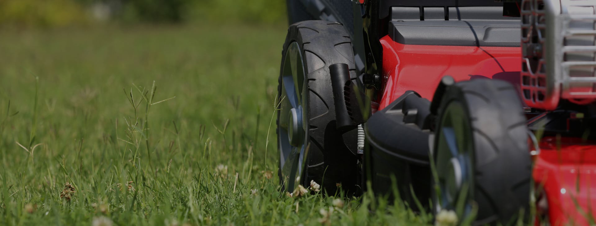 Wij verzorgen uw gazon tot in de puntjes